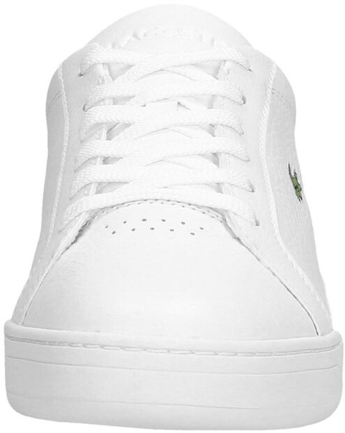 Challenge 220 - large