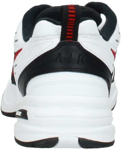 Air Monarch IV Training - large