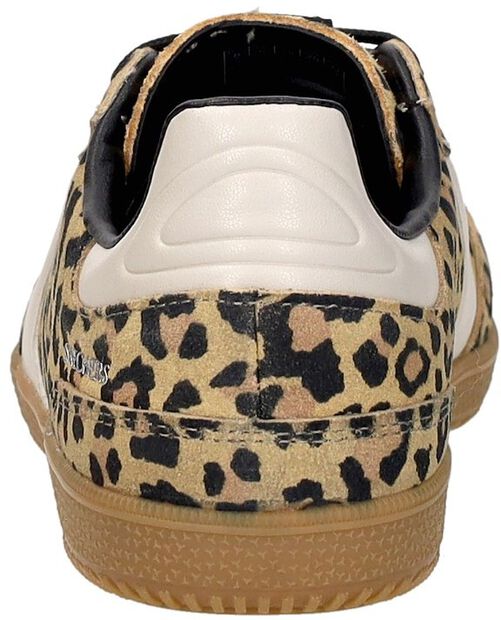 Hotshot - On The Prowl - large