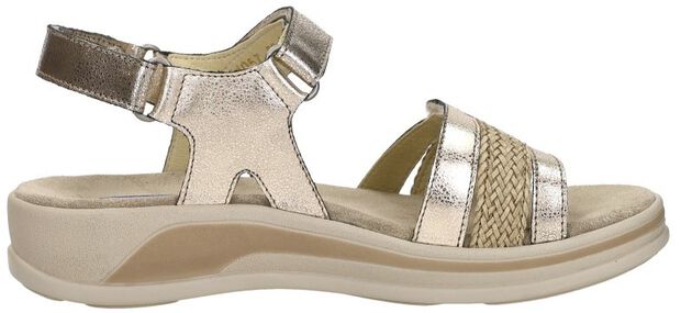 Fantom Elite - large