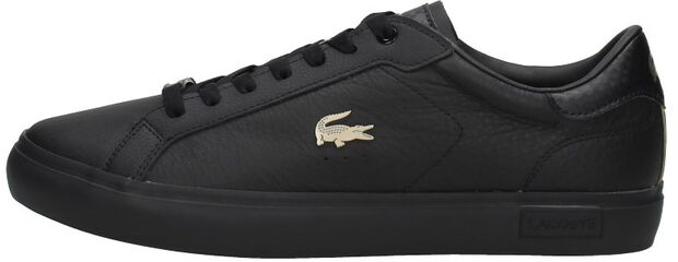 Powercourt QSP - large