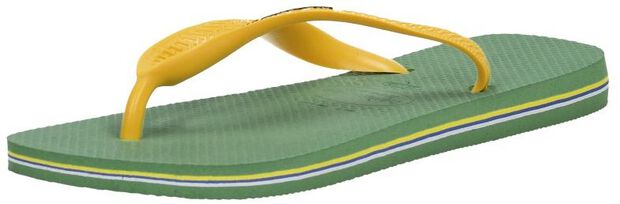 Hav. Brasil logo - large