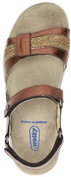 Fantom Elite - large