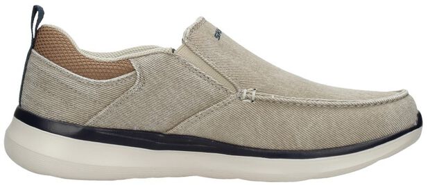 Delson 2.0  Larwin - large