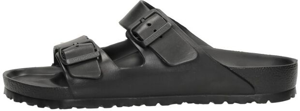 Arizona Essentials - large