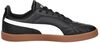 Puma Club II Indoor - small