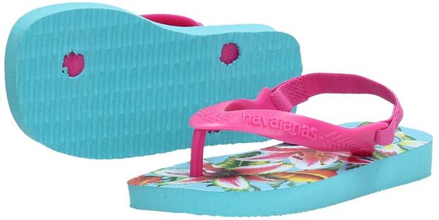 Hav. Baby Chic II - large