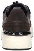 Surefire Tennis - small