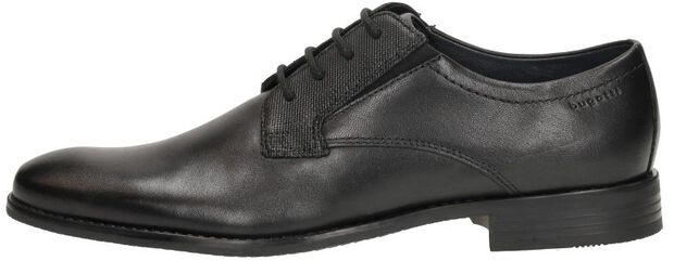 Rinaldo Comfort - large