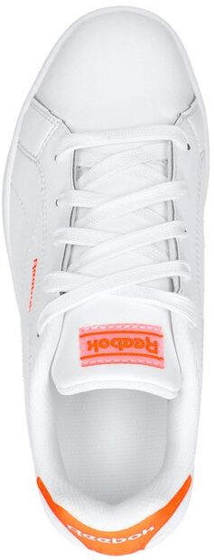 Royal Complete - large