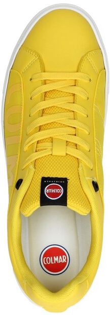 Bradbury Chromatic - large