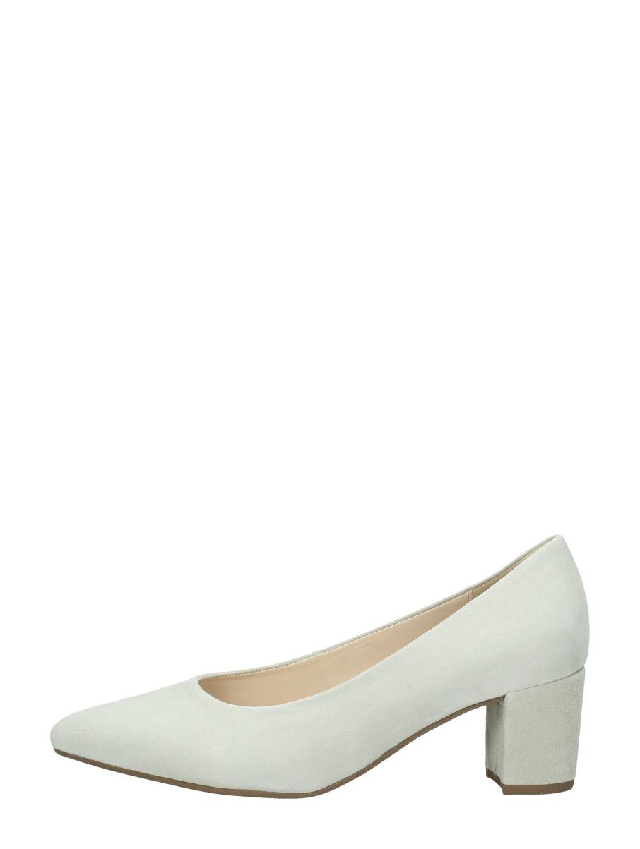 pumps schuurman