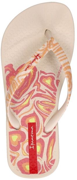 Anatomic Heart Kids - large