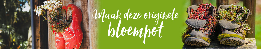 Tussenbanner blog maak een orginele bloempot