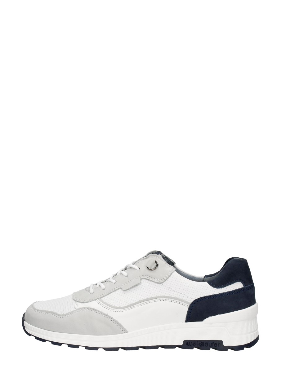 Waldläufer H etienne